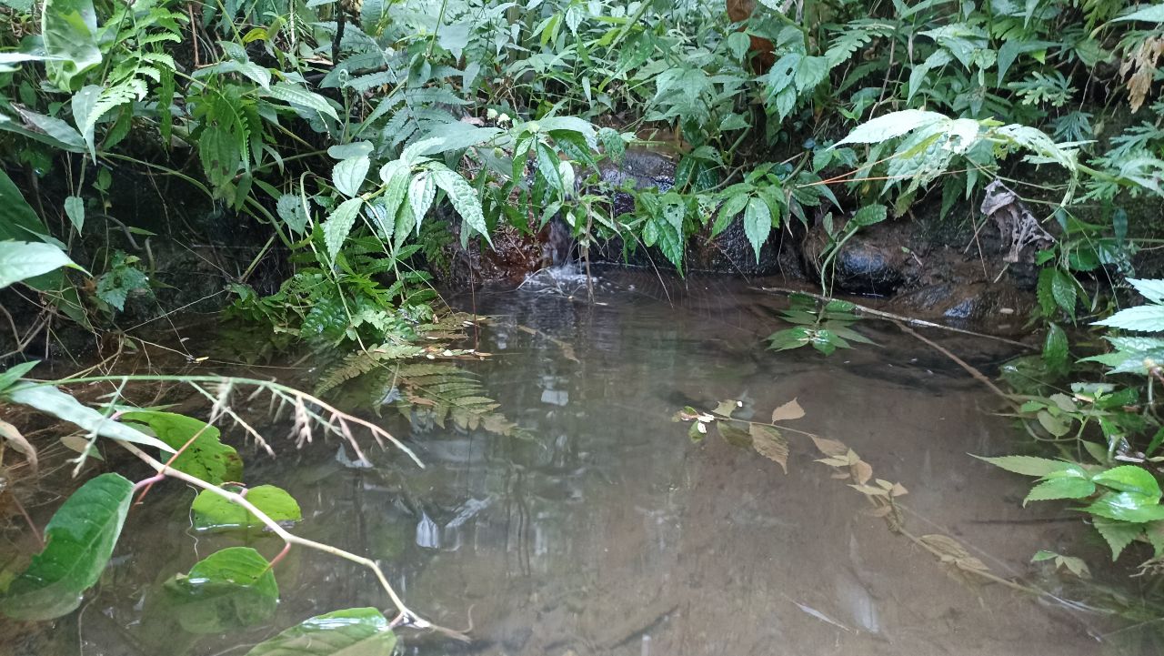 Sumber Air Soo, di Dusun Soo, Desa Ngadimulyo, Kecamatan Kampak Trenggalek
